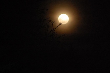 Es schien der Mond so hell auf diese Welt ...
