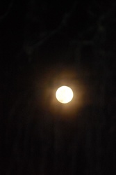 Es schien der Mond so hell auf diese Welt ...
